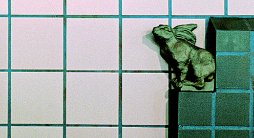 Ein Hase an der Station Mümmelmannsberg in der Nahaufnahme.